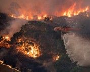 Victorian Bushfire Appeal Melbourne Podiatrists